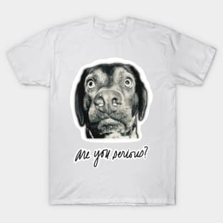 Are You Serious? T-Shirt